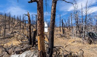 3600 Moondance Way, Bellvue, CO 80512