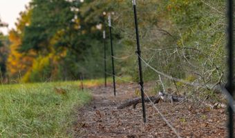 100 Acres Harmony Church Rd, Andalusia, AL 36421