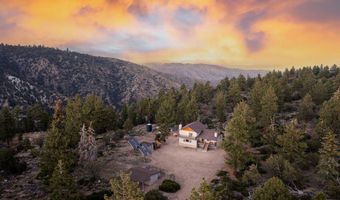 43942 Rainbow Ln, Angelus Oaks, CA 92305