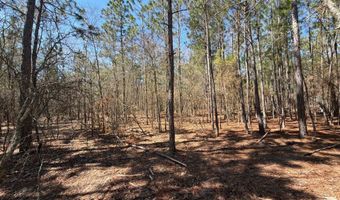 Bhl 10 Boise Cascade Bhl 10, Bethune, SC 29009