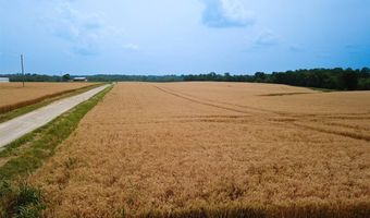 597 Prices Mill Rd, Adairville, KY 42202