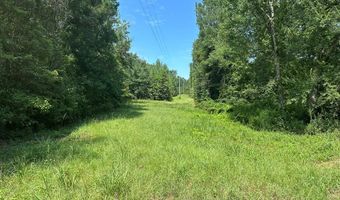 177 155 Pebble Cove Rd, Abbeville, AL 36310