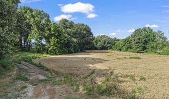 Old Jackson Road, Bells, TN 38006