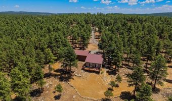 23251 Elk Trl, Aguilar, CO 81020