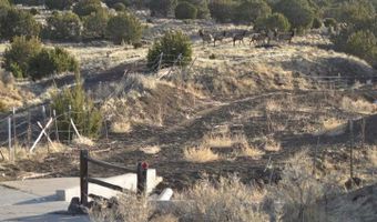 20 County Road 3044, Concho, AZ 85924
