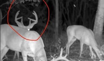 Gun Baoyu Road, Belzoni, MS 39038