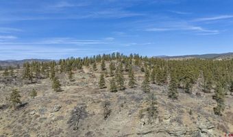 TBD Lot 5 Beaver Creek Ranch Drive, Bayfield, CO 81122