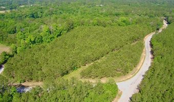 0 Pebble Cove Rd, Abbeville, AL 36310