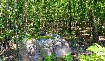 0000000 Easement, Annapolis, MO 63620