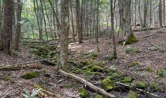 Deer Run lot 35, Becket, MA 01223