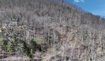 11 Taryn Trce 16, Barnardsville, NC 28709