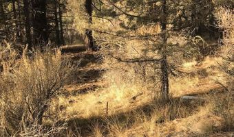 Jaguar Lane 29, Bonanza, OR 97623