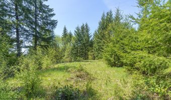 25308 NW MOUNTAIN Dr, Banks, OR 97106