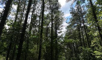 8501 Lawsontown Rd, Adger, AL 35444
