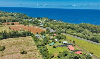 29-2211 OLD MAMALAHOA Hwy 2, Hakalau, HI 96710
