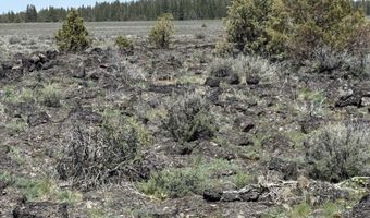 Oregon Pines Road TL 1200, Beatty, OR 97621