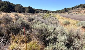 1037 S Canyon Dr, Cedar City, UT 84720