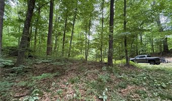 9999 Countryside Est, Barnardsville, NC 28709