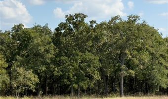 330 Rolling Ranch Blvd, Alvord, TX 76225