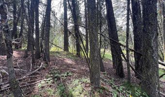 Tbd Hilltop Road 43 & 44, Cascade, ID 83611