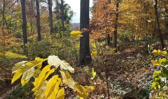 5651 BENT BRANCH Rd, Bethesda, MD 20816