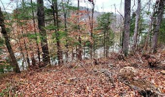 458 COUNTY ROAD 4036 Lot 0, Arley, AL 35541