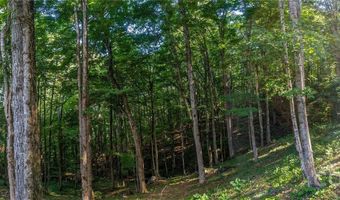 Amber Ranches 47, Bakersville, NC 28705