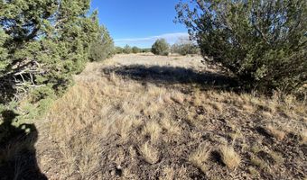3160 W Mesa Dr, Ash Fork, AZ 86046