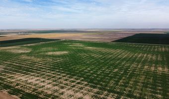 County Road 3P, Arriba, CO 80804