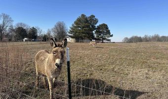 7066 Vivians Rd, Anderson, AL 35610