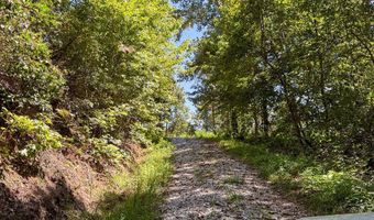 6 Black Rock Trl 6, Andrews, NC 28901