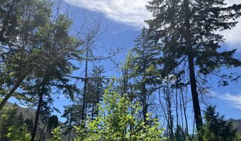 Blue River Dr, Blue River, OR 97413