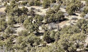 CR 2550 Road, Aztec, NM 87410