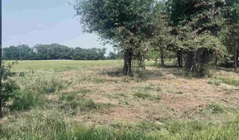 LOT 6 Leach Woods East CR 1560, Alba, TX 75410