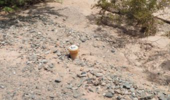 49167 Tail Ln, Bouse, AZ 85325