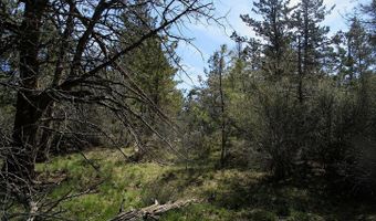 Jaguar Lane 29, Bonanza, OR 97623