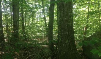 72-1 Frohock Brook Rd, Alton, NH 03810