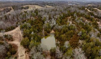 Smithtown Road, Afton, TN 37616