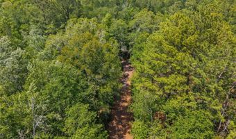 4814 NW 244 Ave, Alachua, FL 32615