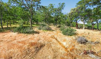 163 Hitt Rd, Ashland, OR 97520