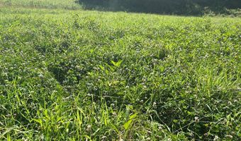Reeves Road, Ashland, MS 38603