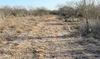 CR 119 lot 0, Alice, TX 78332