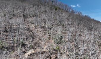 99999 Green Ridge Falls Rd 17, Barnardsville, NC 28709