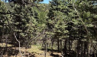 Spanish Peaks Dr, Aguilar, CO 81020