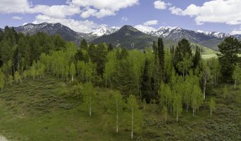 Lot 6 MININGER ROAD, Alpine, WY 83128