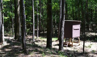 0 County Rd 22, Auburn, AL 36830