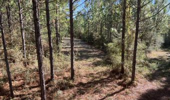 259 Forest Lake Rd, Beaumont, MS 39423