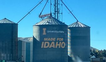 92 Lake View Dr, Carey, ID 83320