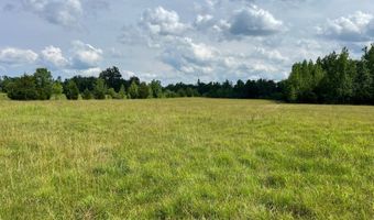 420 Sheffield Rd, Adamsville, TN 38310