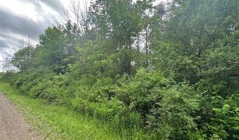 Townline Road, Angelica, NY 14709